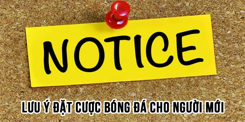 Lưu ý đặt cược cho người mới